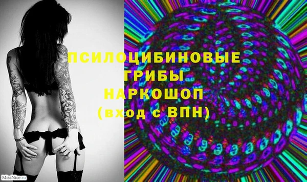 индика Арсеньев