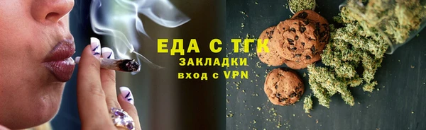 индика Арсеньев