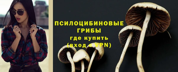 индика Арсеньев