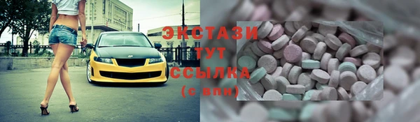 индика Арсеньев