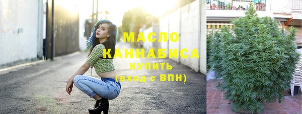 индика Арсеньев