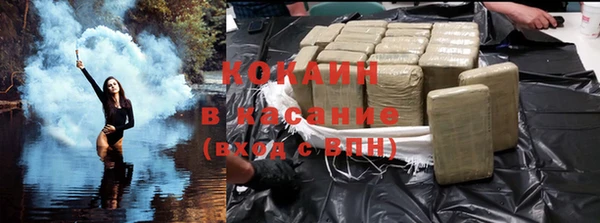 индика Арсеньев